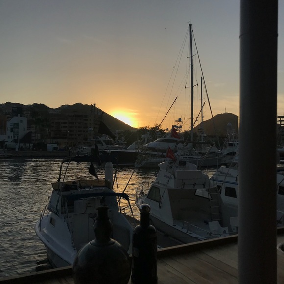 Meet your Posher, Virginia - Picture 6 of 7